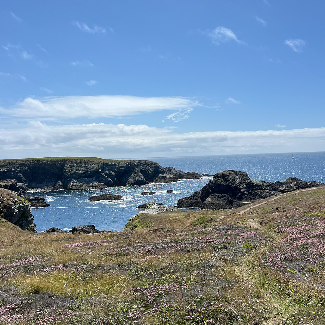 Bretagne mit Kindern - Südküste Belle-Ile-en-Mer mit Kindern. Hier zu sehen: Ein Pfad, der durch blühende Heidebüsche führt. (August 2025)