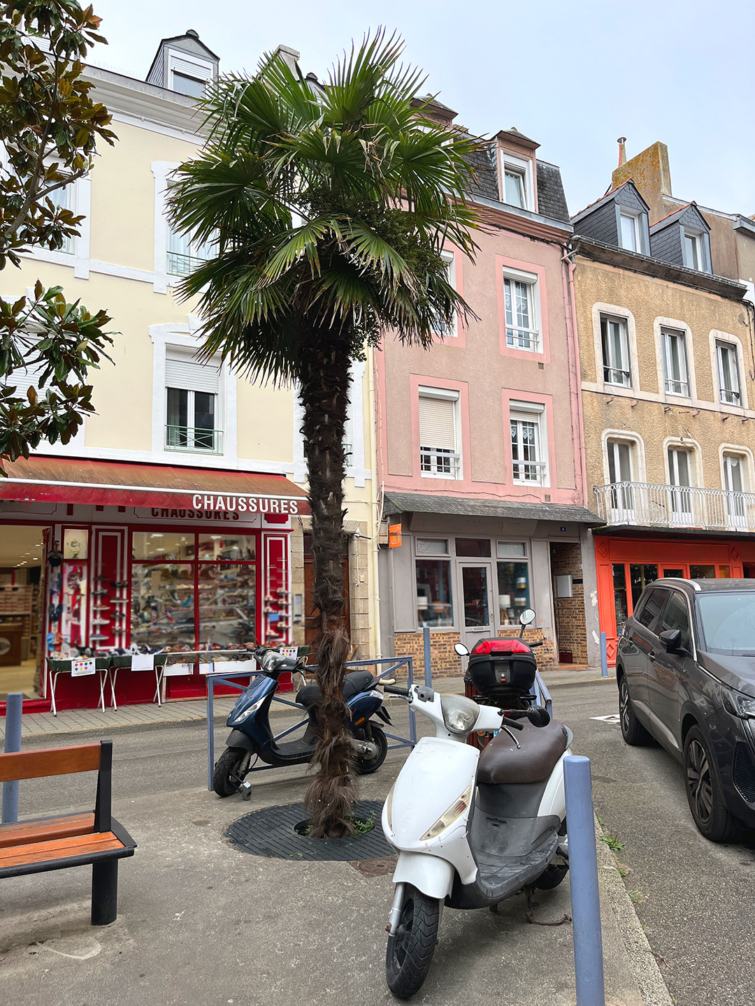 Bretagne mit Kindern - Südküste Südliche Bretagne - ein Ausflug nach Belle-Ile-en-Mer. Hier zu sehen die Innenstadt von le mit Palme und Motorroller im Vordergrund.
