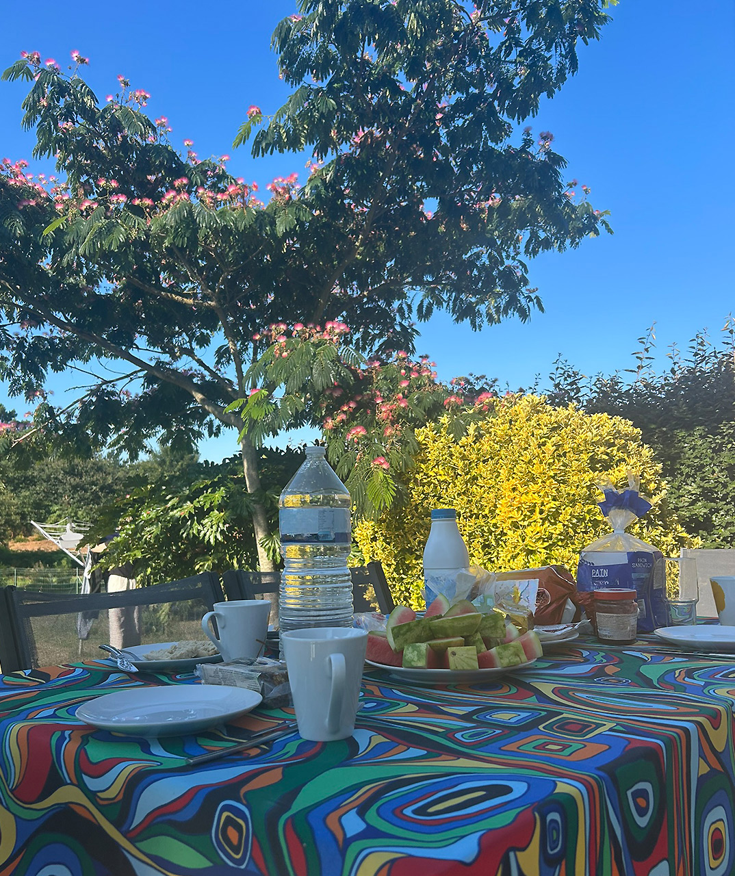 Bretagne mit Kindern - Südküste Familienreise in den Süden der Bretagne. Hier unser Ferienhaus, zu sehen ist ein gedeckter Frühstückstisch im Garten mit einem exotischen Baum im Hintergrund.