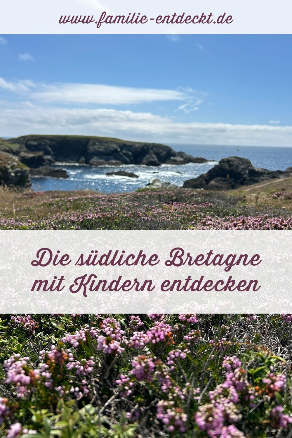 Bretagne mit Kindern - Südküste Familienurlaub in der Bretagne: Hier ein Symbolbild für Familienurlaub im Süden der Bretagne. Es ist dient als Pin für Pinterest zum Herunterladen. Das Bild zeigt eine Bucht auf Belle Ile en Mer mit Klippen am Meer - davor Heidekraut.
