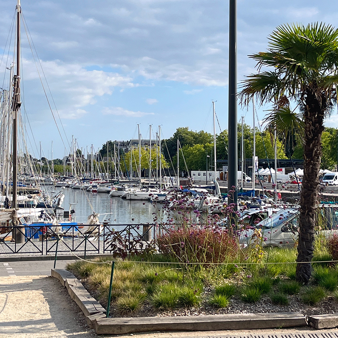 Süden der Bretagne. Ein Ausflug nach Vannes, hier zu sehen der Hafen von Vannes. Es ist eine Palme im Vordergrund zu sehen und im Hintergrund liegen Segelschiffe vor Anker.
