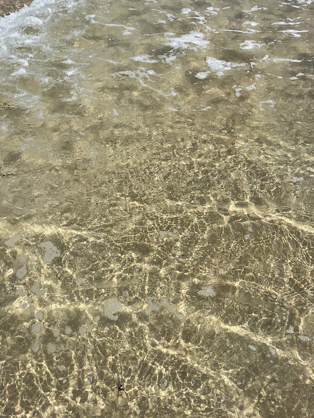 Bretagne mit Kindern - Westküste Bretagne mit Kindern - Westküste - hier zu sehen: kristallklares Wasser am Plage de Pen Hat