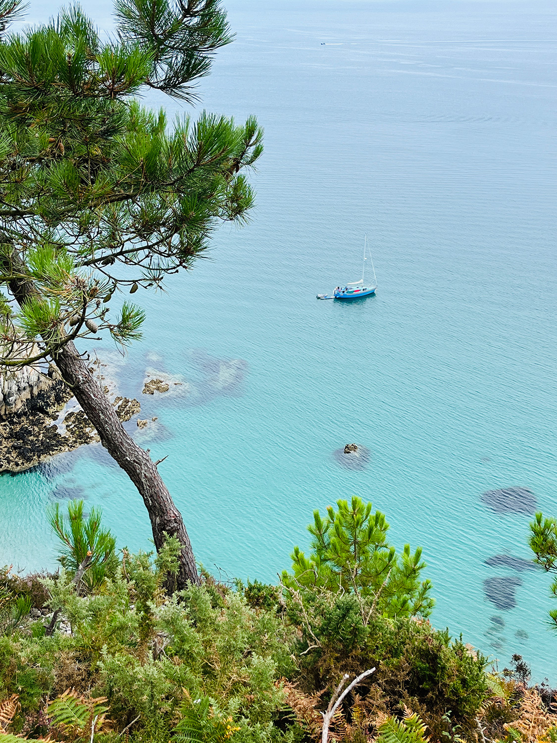 Bretagne mit Kindern - Westküste Bretagne - Wandern mit Kindern - entlang der Westküste. Hier zu sehen der Blick von einem hohen Felsen auf türkisblaues Wasser und ein Segelschiff.