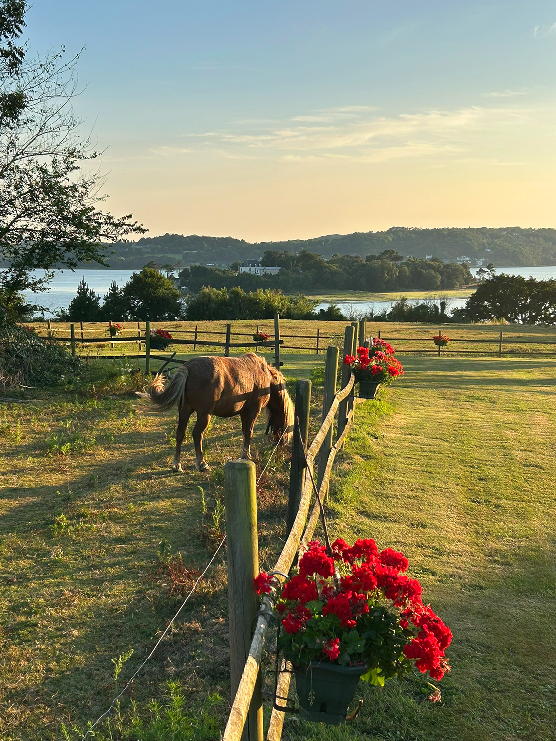 Bretagne mit Kindern - Westküste Bretagne mit Kindern - unser Ferienhaus. Hier der abendliche Blick auf den Meeresarm. Mit Pony im Vordergrund.