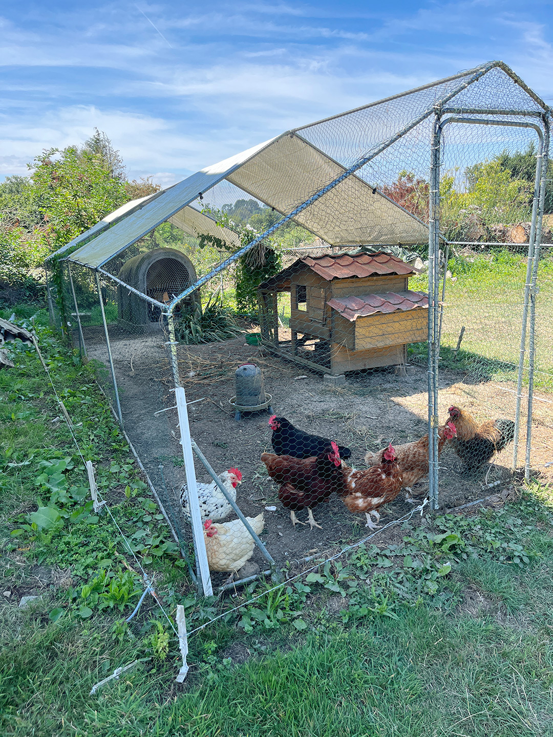 Bretagne mit Kindern - Westküste Bretagne mit Kindern - unser Ferienhaus. HIer der Hühnerstall.
