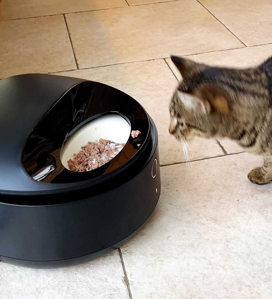 familie-entdeckt, hier: Ein grau getigerter Kater, der vor einem geöffneten Nassfutterautomaten steht.