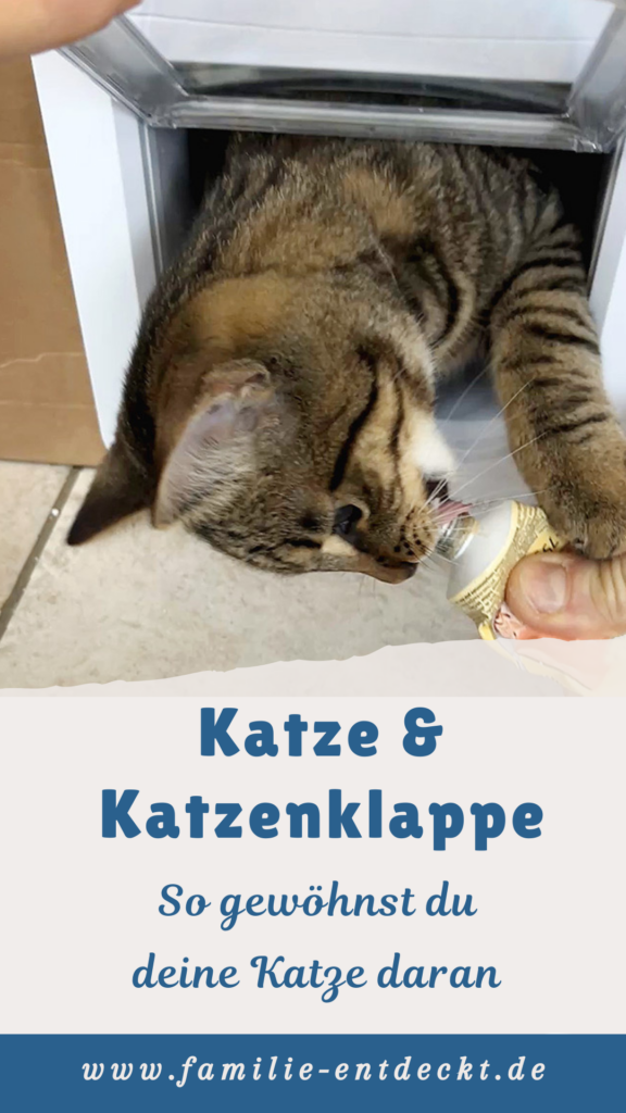 Grafik mit einer getigerten Katze, die sich in der Öffnung einer Katzenklappe befindet und mit einem Leckerli daran gewöhnt wird. Dazu steht: „Katze & Katzenklappe – So gewöhnst du deine Katze daran“. Unten ist die Website familie-entdeckt.de angegeben.